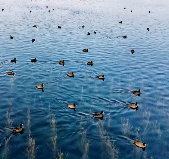 1766045551624894.png ScreenShot_2025-12-18_161207_759.png